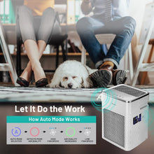 Load image into Gallery viewer, GREE True HEPA Air Purifier (For 500 sq.ft)
