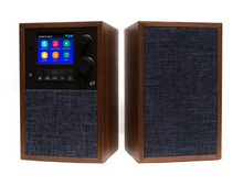 Load image into Gallery viewer, Mondo Alto Radio &amp; Speaker Kit
