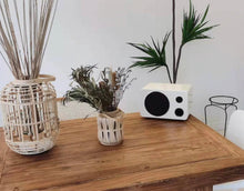 Load image into Gallery viewer, iCreation Hifi Karaoke Speaker

